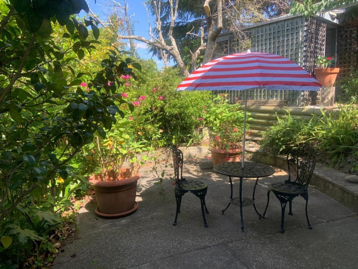 Garden Studio Apartment Havelock North Luaran gambar